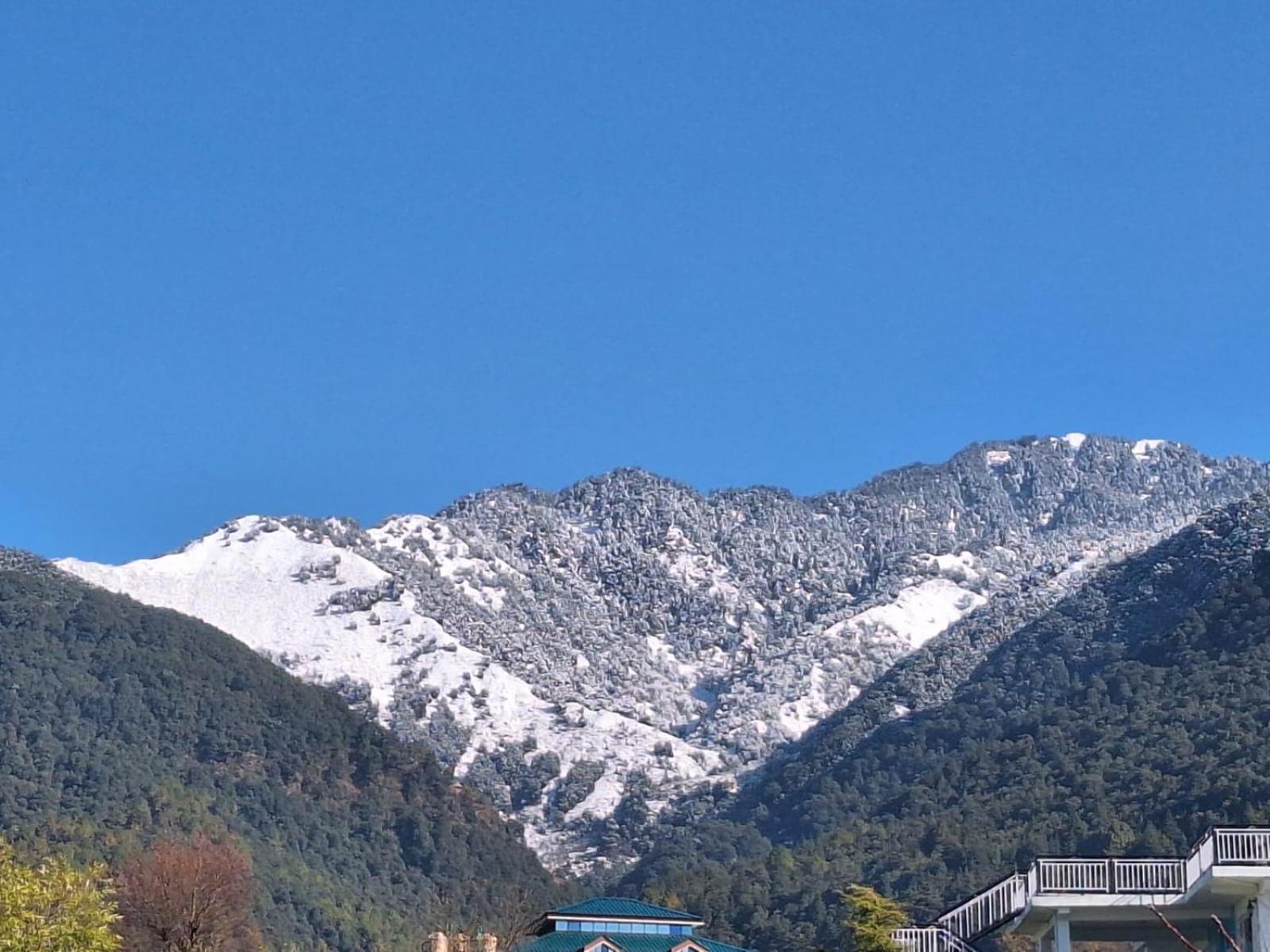 La Maison - A Boutique Bed And Breakfast Bīr エクステリア 写真